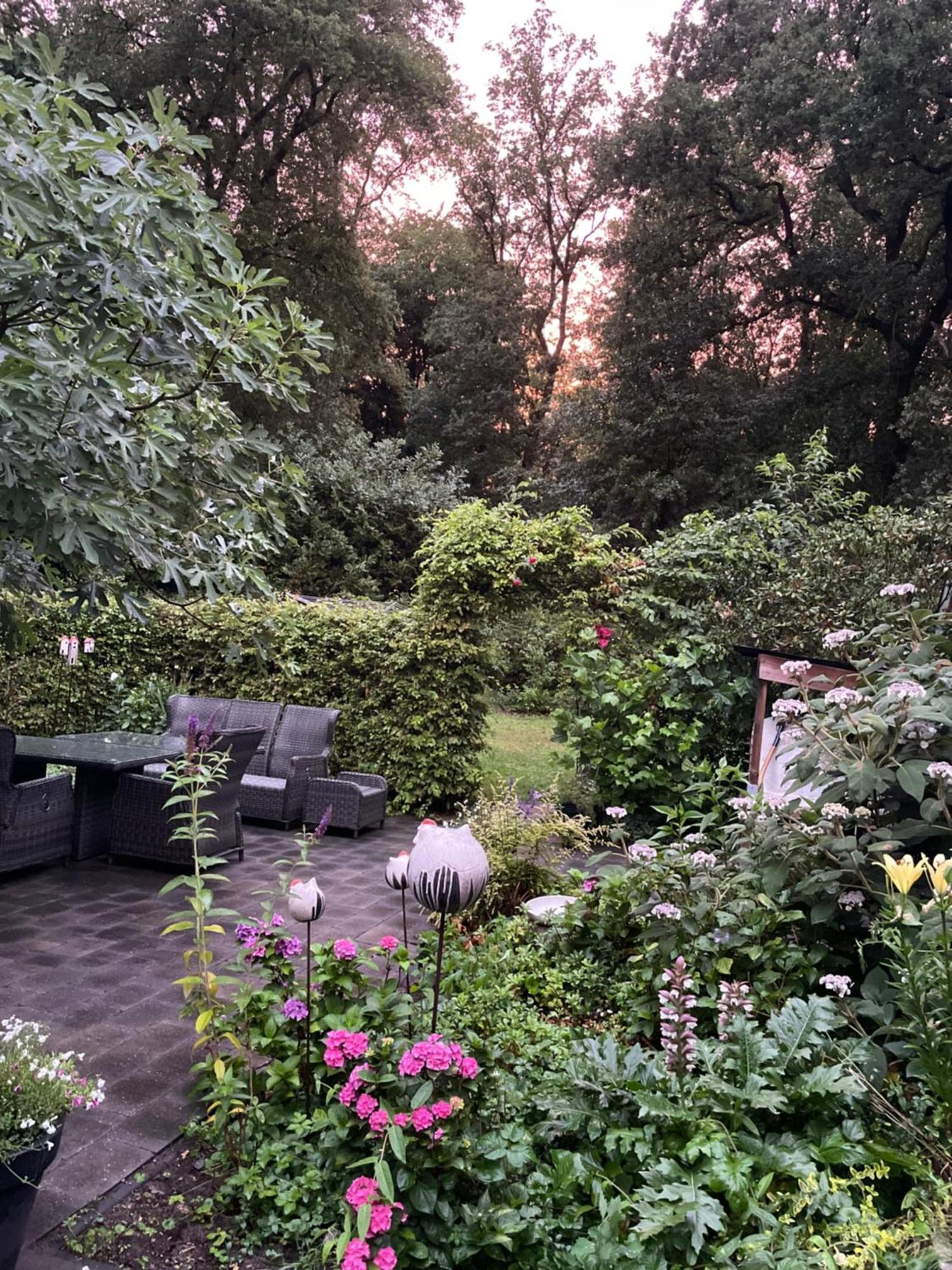 Bed and Breakfast De Hooizolder Hellendoorn Zewnętrze zdjęcie